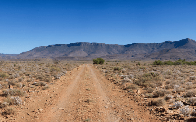 Gravel road through a dry Southern African landscape with mountains in the distance.