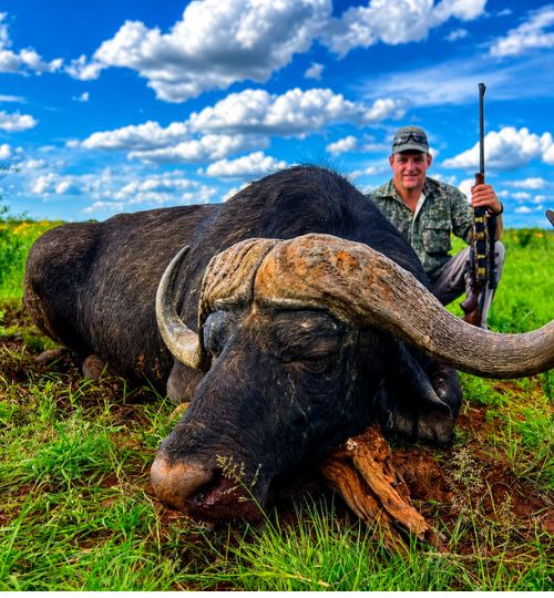 Hunter posing with a trophy Cape buffalo during a hunting safari in South Africa
